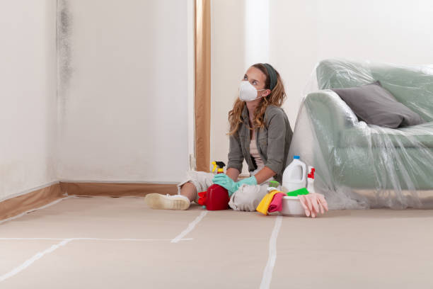 Reliable Mold Remediation contractor in Chapel Hill, TN by WQB Mold Removal